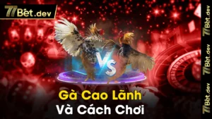 Ga cao lanh Va Cach Choi 1