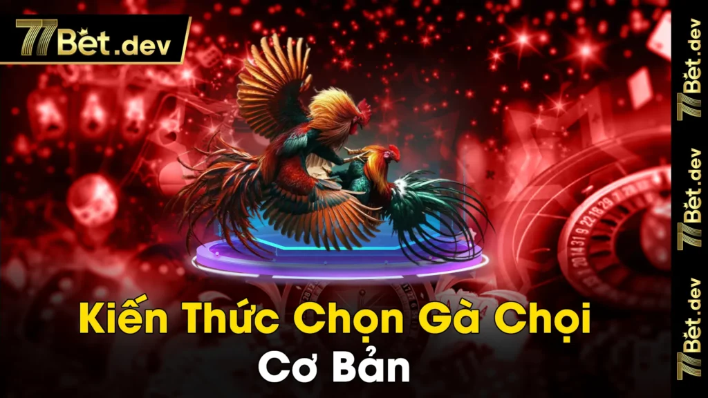 kiến thức chọn gà chọi 01